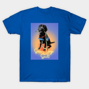 Sweet Black Lab Service Dog T-Shirt